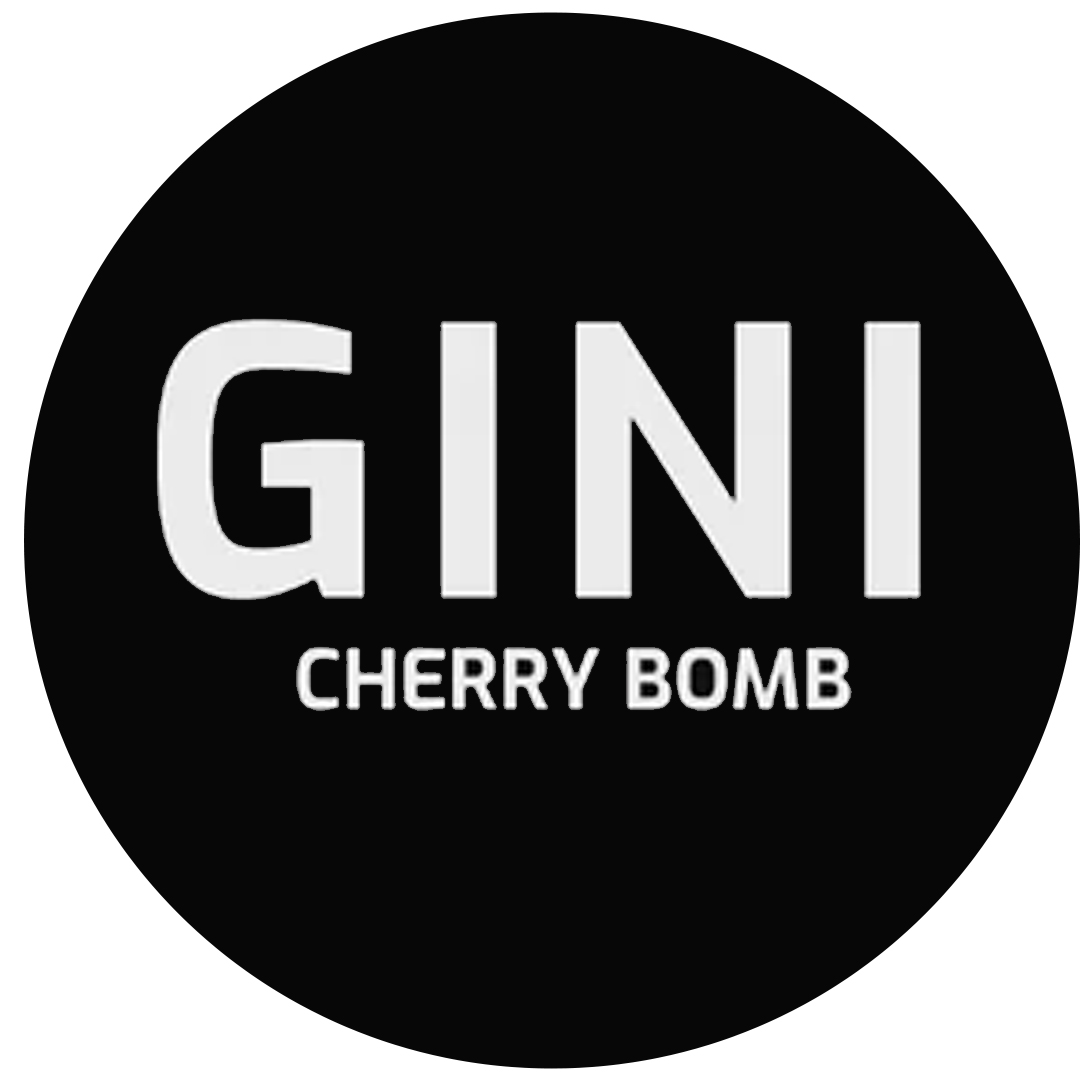 GINI 30k